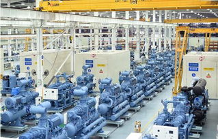 丰富的技术储备实现未来雪人大发展